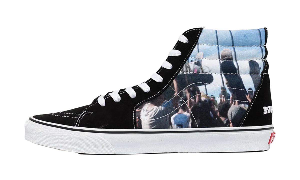 SK8-Hi "Moca Frances Stark" VN0A5KRHA55
